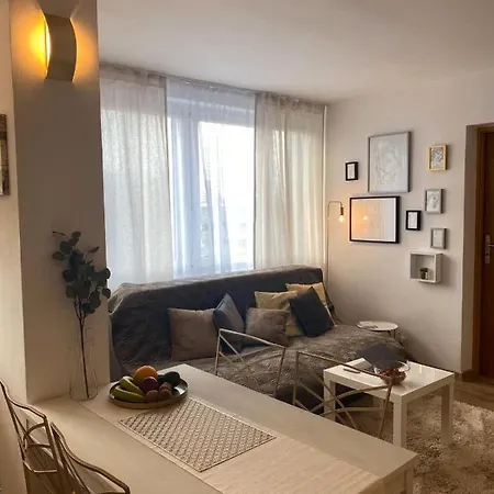 Vicky - New Centrum Srodmiescie Apartment Warschau
