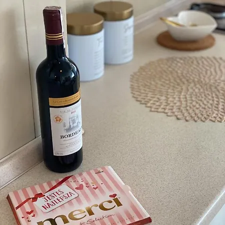 Apartment Vicky - New Centrum Srodmiescie *